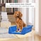 Dog toilet training tray with Raised fence, Anti-slip grid design, and Odor-resistant material, Pet potty training solution for medium to large dogs, Easy to clean, 53 cm (Blue)
