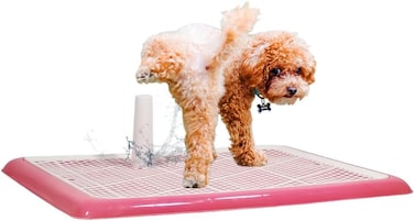 Dog training pads pet toilet for All-sized breeds, Durable plastic construction with Grid pattern, Detachable Pee Post, and Non-slip bottom, keeps paws dry &amp; floor clean, 65 cm (Pink)