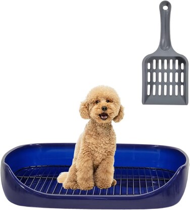 Dog toilet for small to medium breeds, Splash-proof plastic pet toilet with Stainless steel grid, Raised fence, and Litter scoop, Ideal for indoor/outdoor use, Easy to clean, 47 cm (Blue)