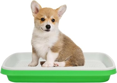 Dog potty training toilet, Plastic pee pad holder with Grid and Detachable design, Reusable dog potty trainer for small-sized dogs, Indoor/Outdoor use, Easy to clean, 33 cm (Green)