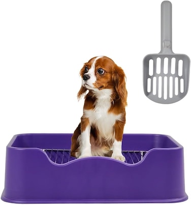 Dog potty tray with Removable stainless steel grid, Litter scoop, and Anti-slip bottom, Durable plastic dog potty tray for small to medium dogs, Ideal for indoor/outdoor use, 52 cm (Purple)