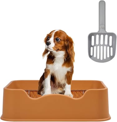 Dog potty tray with Removable stainless steel grid, Litter scoop, and Anti-slip bottom, Durable plastic dog potty tray for small to medium dogs, Ideal for indoor/outdoor use, 52 cm (Orange)