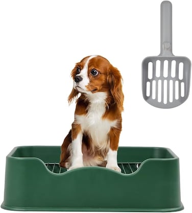Dog potty tray with Removable stainless steel grid, Litter scoop, and Anti-slip bottom, Durable plastic dog potty tray for small to medium dogs, Ideal for indoor/outdoor use, 52 cm (Green)