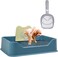Dog toilet for small to medium breeds, Durable plastic dog potty trainer with Wall guard, Removable stainless steel grid, Litter scoop, and Anti-slip pads, Easy to clean, 52 cm (Blue)
