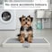 Puppy potty training toilet tray for Indoor/Outdoor use, Mess-free leak-proof pad holder with Removable plastic grid and Anti-slip base, Ideal for Small to Medium dogs, Easy to clean, 66 cm (Grey)