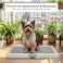 Puppy potty training toilet tray for Indoor/Outdoor use, Mess-free leak-proof pad holder with Removable plastic grid and Anti-slip base, Ideal for Small to Medium dogs, Easy to clean, 66 cm (Grey)