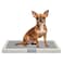 Puppy potty training toilet tray for Indoor/Outdoor use, Mess-free leak-proof pad holder with Removable plastic grid and Anti-slip base, Ideal for Small to Medium dogs, Easy to clean, 66 cm (Grey)