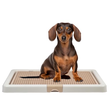 Puppy potty training toilet tray for Indoor/Outdoor use, Mess-free leak-proof pad holder with Removable plastic grid and Anti-slip base, Ideal for Small to Medium dogs, Easy to clean, 66 cm (Beige)