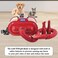 Pet hair dryer for cats &amp; dogs, Low-Noise pet dryer with 3-Styling Nozzles, Temperature adjustment, ABS Material, and Portable Handle, Quick drying &amp; Gentle grooming, 240V (Red)