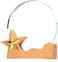 Round Crystal Trophy Award with Wood Base