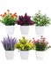 Yoratee 6pcs Artificial Pot Flowers Small Fake Plants with Pot Mini Potted Plants for House Office Tabletop Decoration