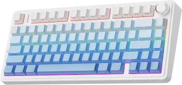 EPOMAKER x AULA F75 Gasket Mechanical Keyboard 75% Wireless Hot Swappable Gaming Keyboard with Five-Layer Padding&amp;Knob Bluetooth 2.4GHz USB-C RGB (Blue Gradient LEOBOG Reaper Switch)