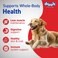 Drools Chicken &amp; Egg Dry Adult Dog Food, 10 Kg,Pack of 1