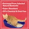 Drools Bentonite Clumping Cat Litter, Lavender, 5 kg (For Multiple Cats)
