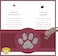 Dr. Elsey's Cat Litter - Unscented Cat Litter w/Natural Ingredients - Low Dust Superior Odor Control Cat Litter - Hard Clumping Moisture Absorbing Clay Multi Cat Litter (For Adult Cats - 18lbs)