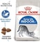 Royal Canin Fhn Feline Health Nutrition Indoor 2Kg Cat Dry Food