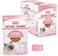 Royal Canin FHN Feline Health Nutrition Kitten Gravy 12x 85gm Cat Wet Food Pouches