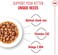 Royal Canin FHN Feline Health Nutrition Kitten Gravy 12x 85gm Cat Wet Food Pouches