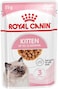 Royal Canin FHN Feline Health Nutrition Kitten Gravy 12x 85gm Cat Wet Food Pouches