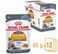 Royal Canin Hair &amp; Skin in Jelly Adult Wet Cat Food BOX - 12X85G