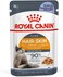 Royal Canin Hair &amp; Skin in Jelly Adult Wet Cat Food BOX - 12X85G