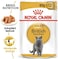 Royal Canin FBN British Shorthair Wet Food Pouches Box of 12x85g Feline Breed Nutrition Cat Food