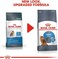 Royal Canin Light Weight Care Adult Dry Cat Food - 3KG