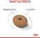 Royal Canin CCN Mini Light Weight Care 3 kg Canine Care Nutrition Dog Food