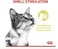 Royal Canin Feline Health Nutrition Sensory Smell Gravy Cat Wet Food - 85G