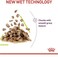 Royal Canin Feline Health Nutrition Sensory Smell Gravy Cat Wet Food - 85G