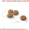 Royal Canin CCN Mini Sterilized Adult 3 kg Canine Care Nutrition Dog Food