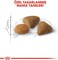 Royal Canin Savour Exigent Adult Dry Cat Food - 4KG