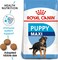 Royal Canin Maxi Puppy Dry Food - 4KG
