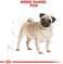 Royal Canin Pug Adult Dry Dog Food - 7.5KG