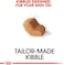 Royal Canin Shih Tzu Adult Dry Dog Food - 7.5KG