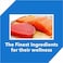 Drools Dry Cat Food, Tuna Salmon, 3.8kg (2.8kg + 1kg Free)  Taurine For Heart &amp; Vision, Omega 3 &amp; 6 For Healthy Skin &amp; Coat