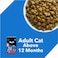 Drools Dry Cat Food, Tuna Salmon, 3.8kg (2.8kg + 1kg Free)  Taurine For Heart &amp; Vision, Omega 3 &amp; 6 For Healthy Skin &amp; Coat