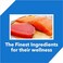 Drools Dry Cat Food, Mackerel, 3.8kg (2.8kg + 1kg Free)   Taurine For Heart &amp; Vision, Omega 3 &amp; 6 For Healthy Skin &amp; Coat