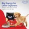 Drools Puppy Dry Dog Food, Chicken &amp; Egg, 4.2 Kg (3Kg+Free 1.2Kg)   100% Balanced Diet With Real Chicken, DHA For Brain Development, High Protein For Bones &amp; Muscle Growth   Easily Digestible Kibble