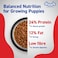 Drools Puppy Dry Dog Food, Chicken &amp; Egg, 4.2 Kg (3Kg+Free 1.2Kg)   100% Balanced Diet With Real Chicken, DHA For Brain Development, High Protein For Bones &amp; Muscle Growth   Easily Digestible Kibble