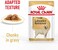 Royal Canin Labrador Retriever Adult Wet Dog Food - 140G