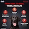 Drools Focus Premium Puppy Dry Dog Food, Real Chicken, 1.2 Kg   40% Real Chicken   DHA For Brain Development, Natural Antioxidants For Immunity, Joint &amp; Bone Strength   Easily Digestible Kibble