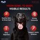 Drools Focus Premium Adult Dry Dog Food, Chicken, 4 Kg   40% Real Chicken, High Protein For Strong Bones &amp; Muscles, Omega 3 &amp; 6 For Healthy Skin &amp; Coat, Natural Antioxidants For Immunity