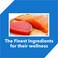 Drools Adult Dry Cat Food, Mackerel, 7 Kg   100% Nutritious Diet With Real Fish, Hairball Control, Taurine For Heart &amp; Vision, Omega 3 &amp; 6 For Healthy Skin &amp; Coat, Supports Digestion &amp; Immunity