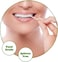 Bamboo Wooden Toothpicks - Double-Sided Round Toothpicks with Dispenser for Teeth, Appetizers, Fruits &amp; DIY Crafts" 2-Pack