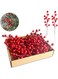 PINKE 30 Pack Christmas Tree Decorations, 7.2 inch Artificial Red Berry Stems, Red Berries Christmas Decor Christmas Tree Decorations Crafts Wedding Holiday Season Winter D&eacute;cor Home Decor