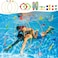 Cutie cute 20Pcs Water Sports Swim Thru Rings for Kids Water Toys - Assorted Pack Pool Toys Diving Toys for Adults Underwater Training Program Pool Games Water Swimming Sport Gifts