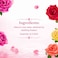 Rabee Natural Distilled Rose Water, 2L