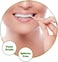 Bamboo Toothpicks &ndash; Food-Grade Wooden Picks, Splinter-Free, Eco-Friendly Cocktail Sticks for Appetizers, Fruit, BBQ &amp; Dental Use with Storage Container