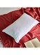 Box Nova Rectangular Bed Pillow